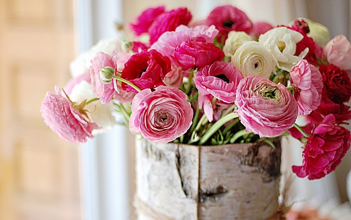 Pink and white ranunculus flowers in a birch vase