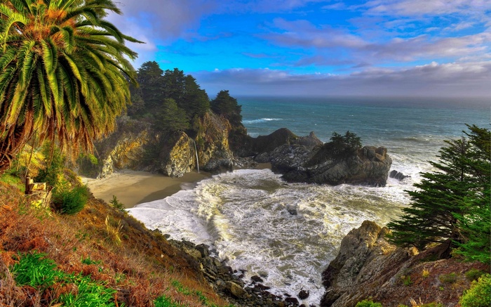 McWay Falls at Julia Pfeiffer Burns State Park, Big Sur