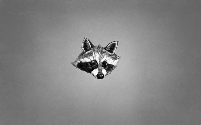 Painting of a Raccoon Head