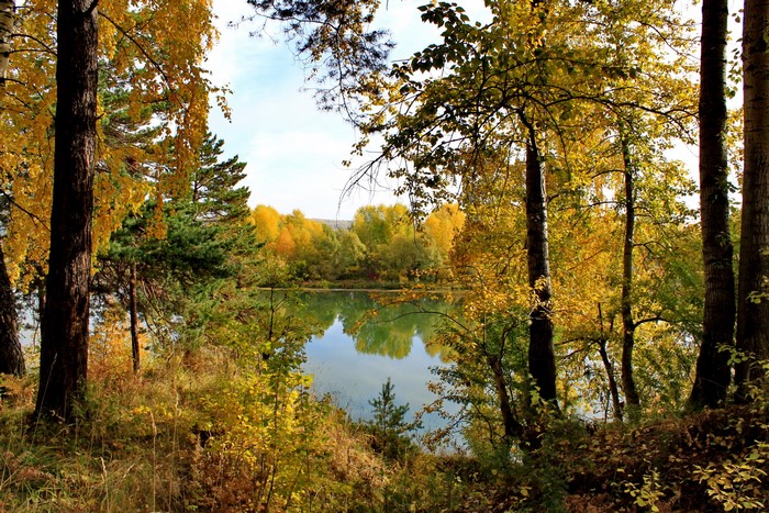 Autumn forest scenery with a lake in Russia