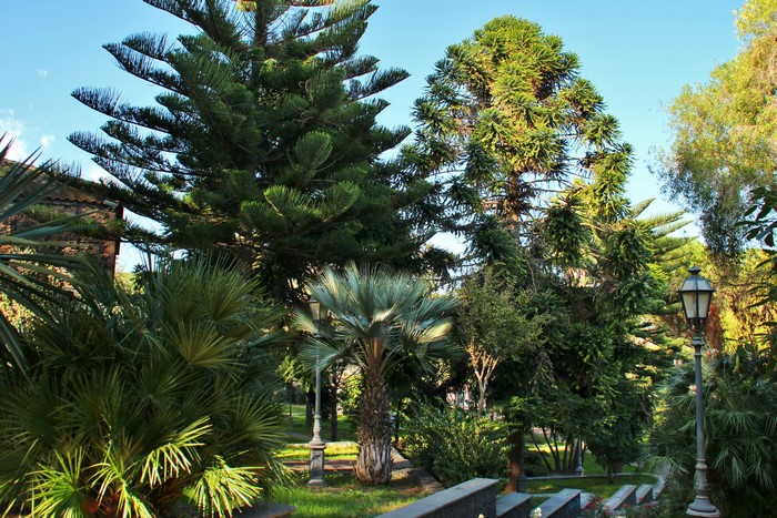 Park in Viagrande, Sicilia, Italy