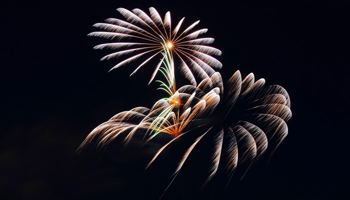 Fireworks exploding in the night sky