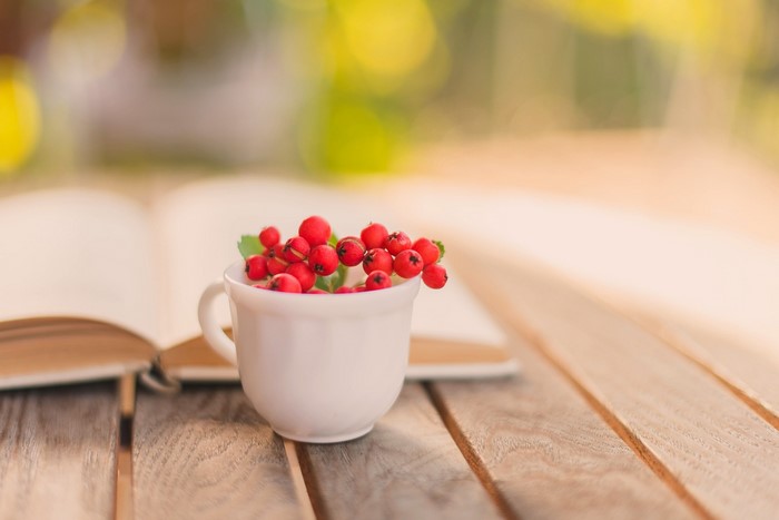 Red berries in a cup next to an open book