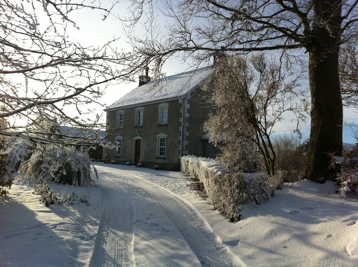 Snowy winter scene with a house and trees