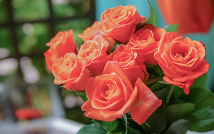 Bouquet of Orange Roses
