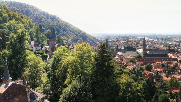 Heidelberg cityscape with forested hill and river