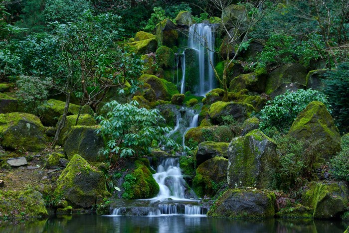 Waterfall in a moss-covered rocky garden