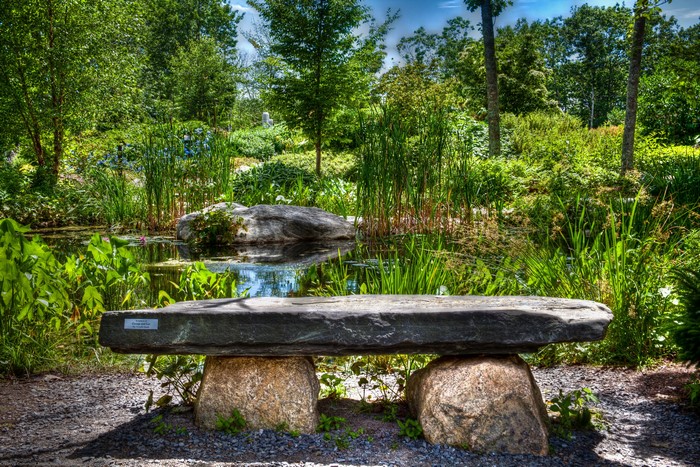 Bench by a pond in Coastal Maine Botanical Gardens, USA