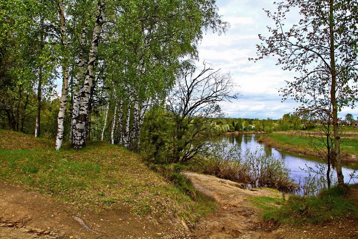River and birch trees in Russia