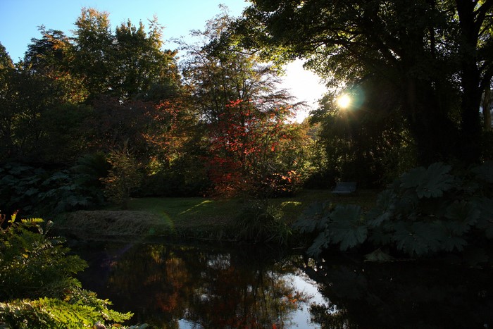 Mount Usher Gardens Ireland Pond