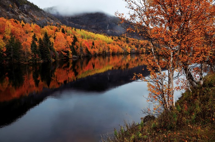 Autumn foliage reflected in a lake in Humber, Newfoundland and Labrador