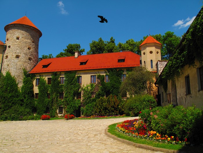 Castle with red roofs and a bird flying in Poland
