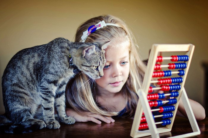 Girl and cat with abacus