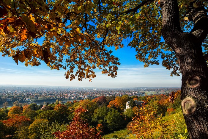 Autumn view of Dresden, Germany from a hilltop
