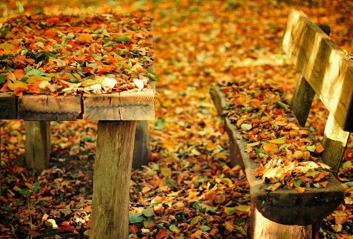 Autumn leaves on a wooden bench and table