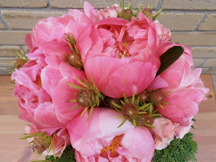 Pink Peonies with Pine Cones