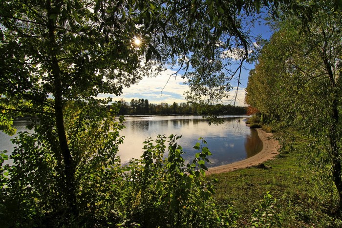 Riverbank with trees and sunbeams in Russia