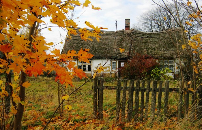 Autumn Cottage with Maple Trees in Gmina Kosakowo