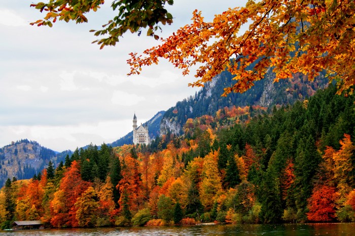 Schloss Neuschwanstein in Autumn, Bavaria, Germany