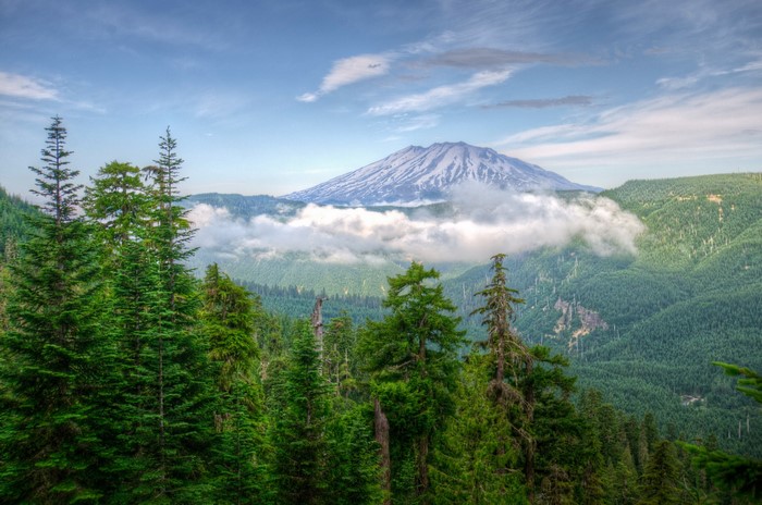 Mount St. Helens and surrounding forests in Washington, USA