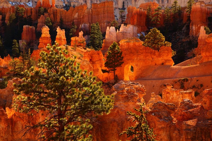 Bryce Canyon National Park in Utah, USA