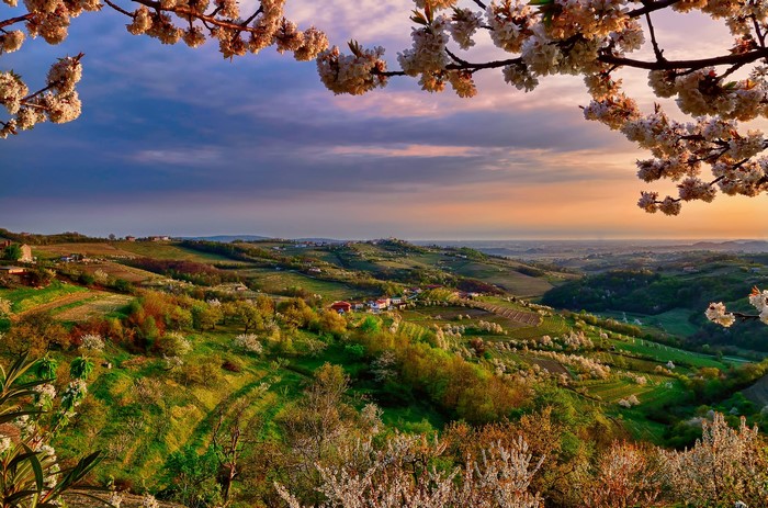 Rolling hills of Collio, Lombardia, Italy at sunset