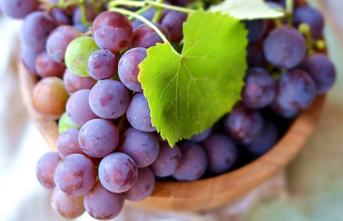 Close-up of purple grapes with a green leaf