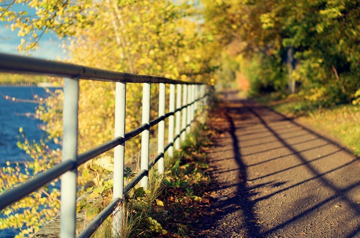 A metal fence along a path in autumn