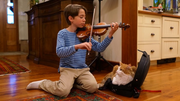 Boy playing violin with cat in violin case