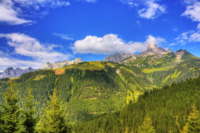 Mountains and Forests in Austria