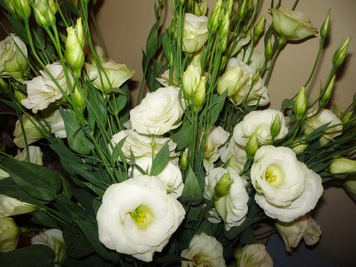 White Eustoma Bouquets