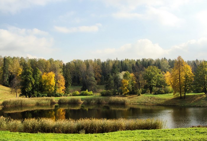 Autumnal Landscape with Lake and Forest