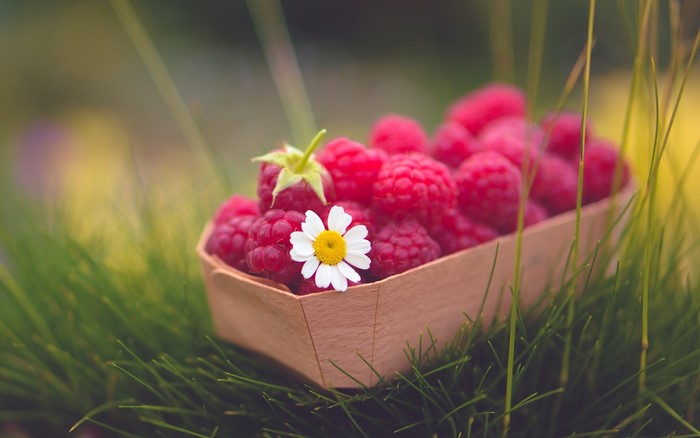 Raspberries in a basket with a daisy on grass