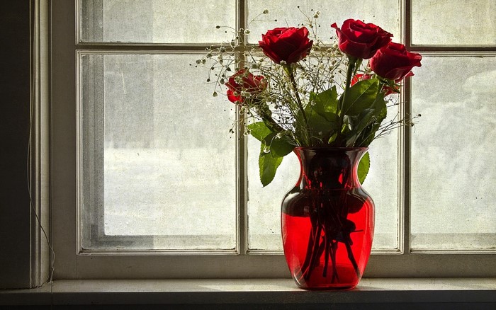 Red roses in a vase by a window