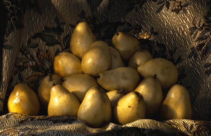 Many Pears on a Textured Fabric