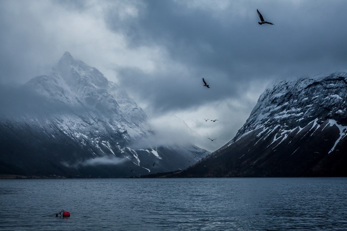 Snowy mountains and a lake in Norway with birds flying