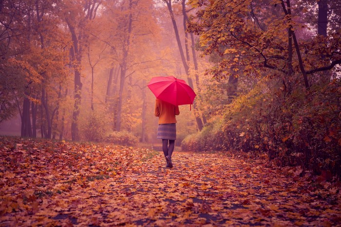 Woman with red umbrella in autumn forest