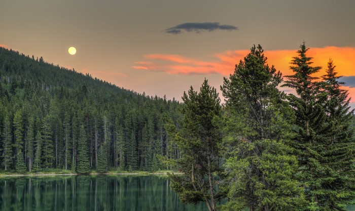 Lake and forest at sunset with moon in Banff National Park