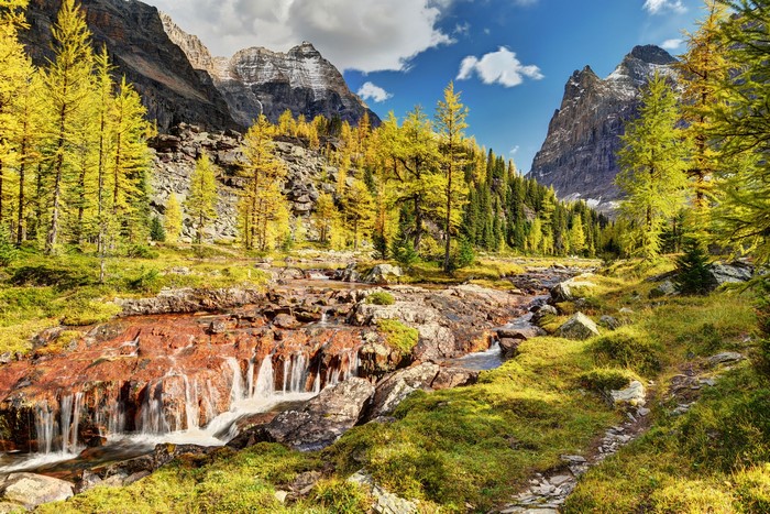 Autumn mountain valley with river and yellow trees