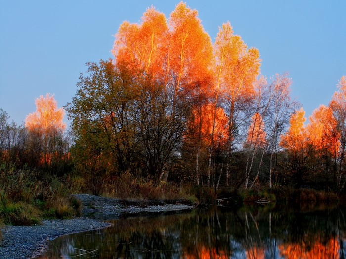 Autumn trees reflecting in water at sunset