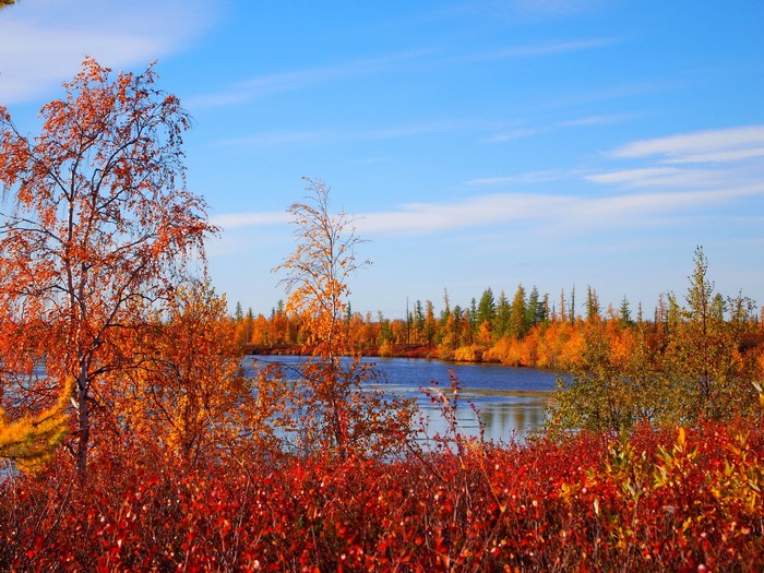 Autumn Scenery in Russia