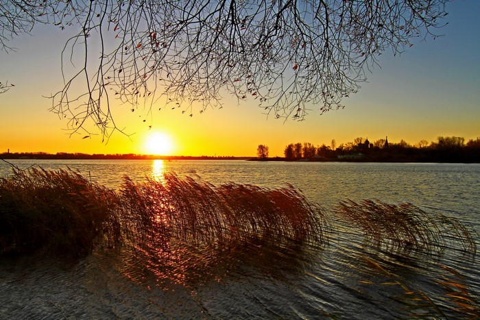 Sunset over a lake with reeds and trees