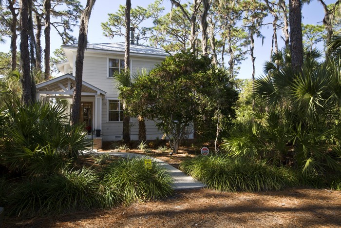 House in Florida surrounded by trees