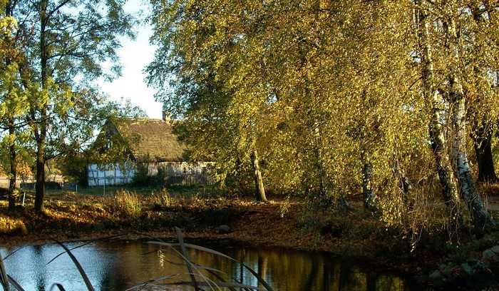 Thatched roof house by a pond with birch trees in autumn