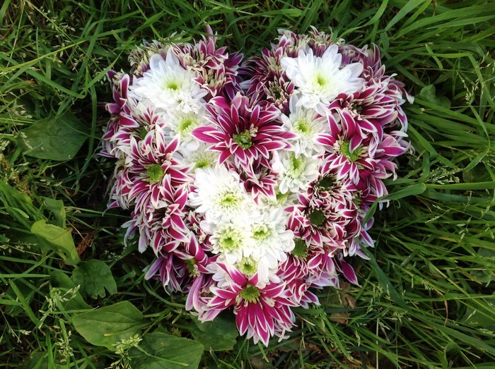 Heart-shaped bouquet of chrysanthemums on grass
