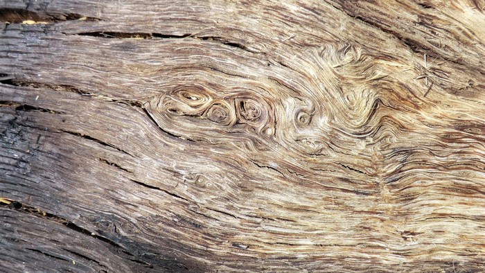 Close-up of weathered wood grain texture