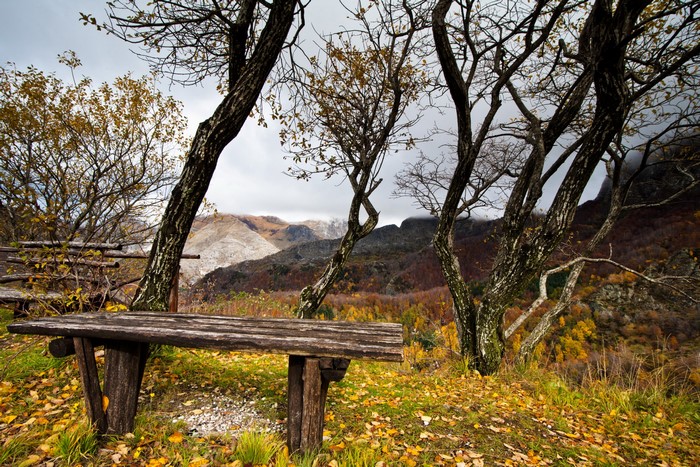 Wooden bench and trees in autumn mountain landscape