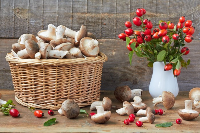 Mushrooms in a Wicker Basket with Rose Hips