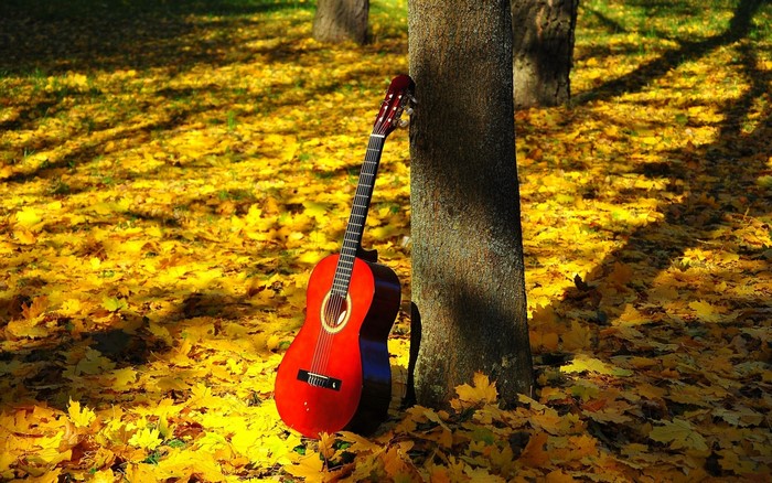 Acoustic guitar leaning against a tree in autumn foliage