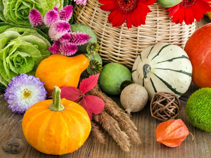 Autumn Harvest Vegetables and Pumpkins